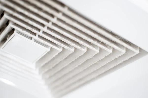 Complete Cleaning & Restoration Services in Austin The Steam Team