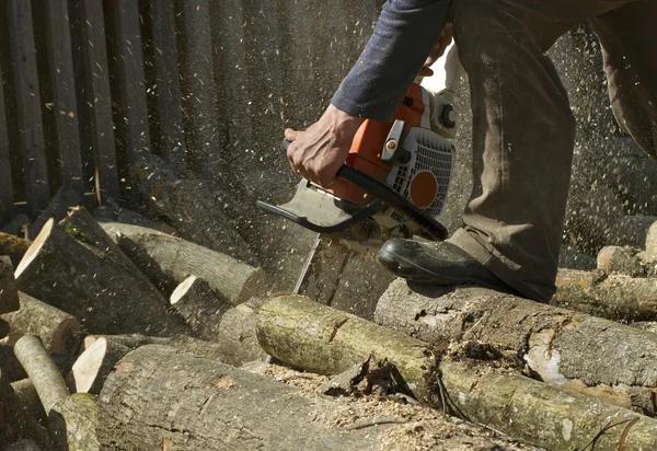 Find Professional Tree Service Near Me at Affordable Rates