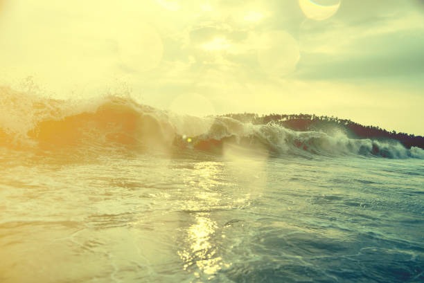 Surf Resources Tools and Guides for Every Surfer