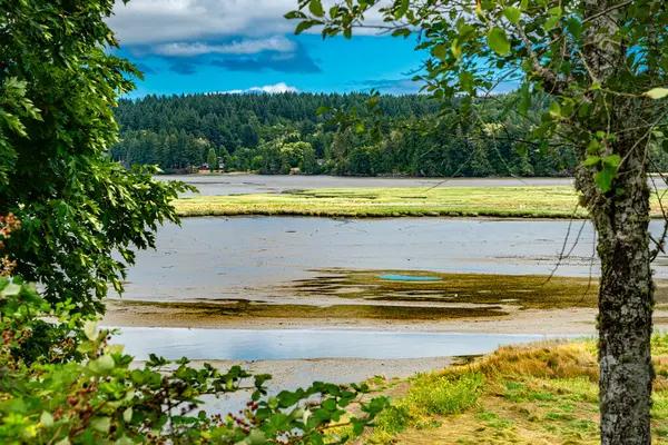 A Complete Guide to Finding the Best Oregon drug rehab