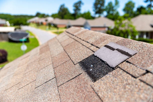 Top-Rated Roofing Services in Duluth at Competitive Prices