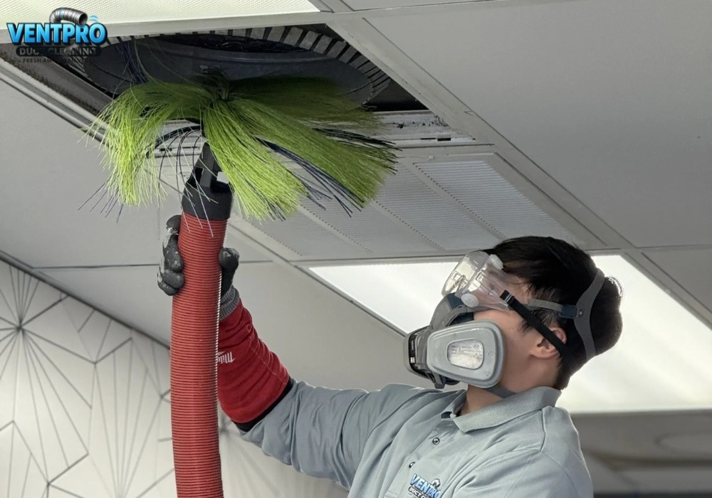 Walmer Air Conditioning & Heating Co.: Fast, Efficient, and Professional Service