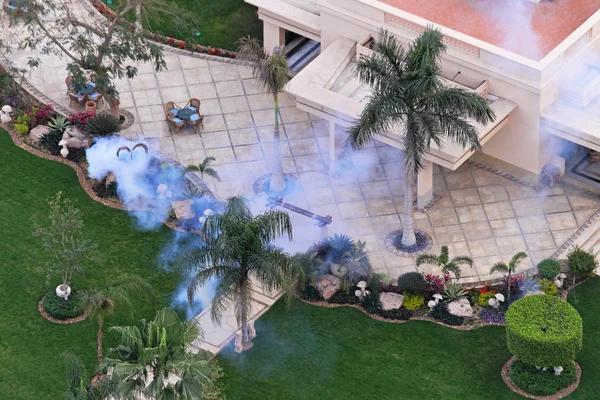 How Lawn Care Services Near Me Can Transform Your Outdoor Space