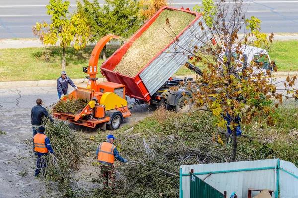 Trusted Local Experts Offering Tree Service Mobile Solutions