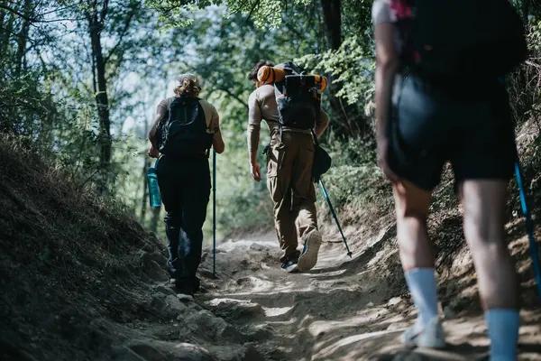 Finding Strength and Mobility in the SAT Superscore